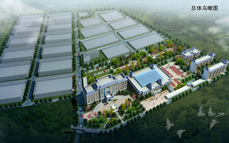 市政道路工程監(jiān)理工作舉措，都可以從哪些層面分析